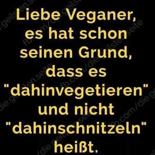IMG-20210413-WA0005.jpg
