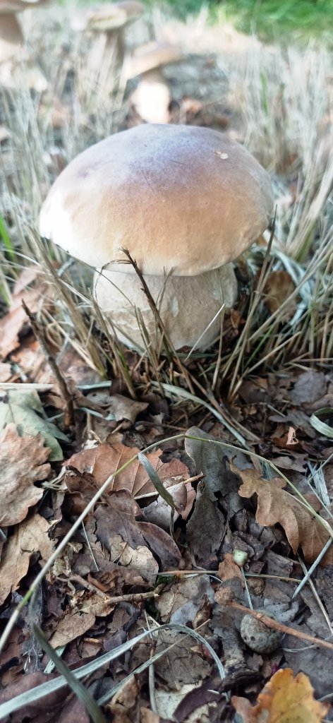 20250920_112400.jpg
