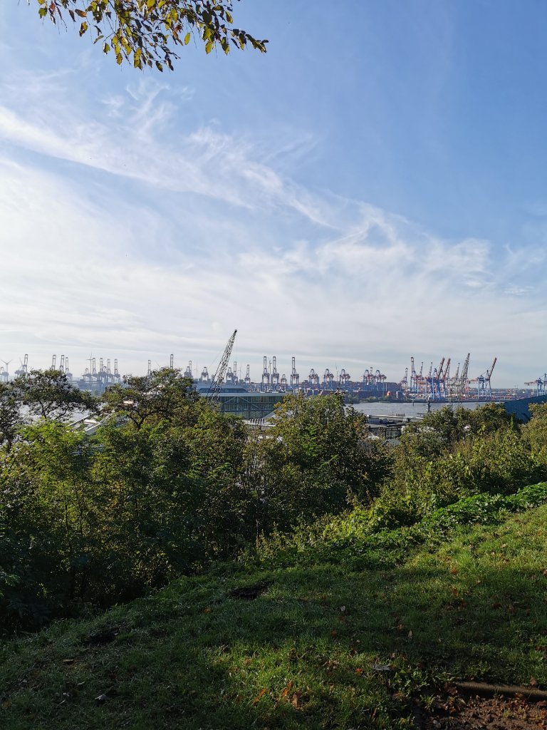 IMG_20231025_114844.jpg