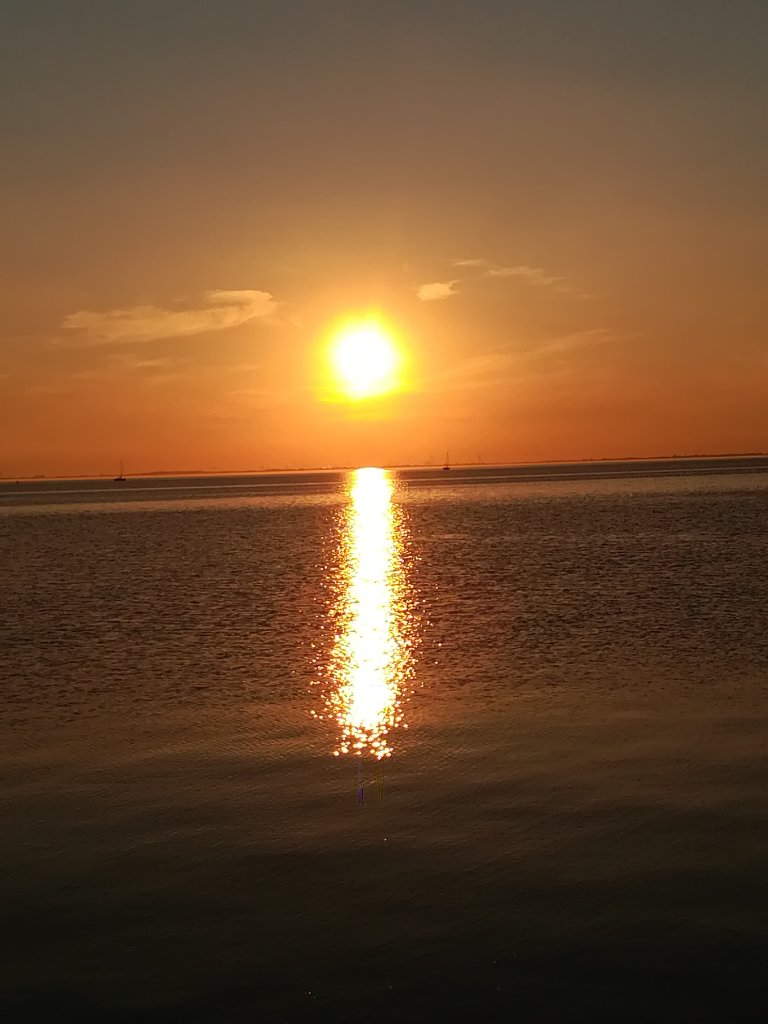 IMG_20210925_190930.jpg