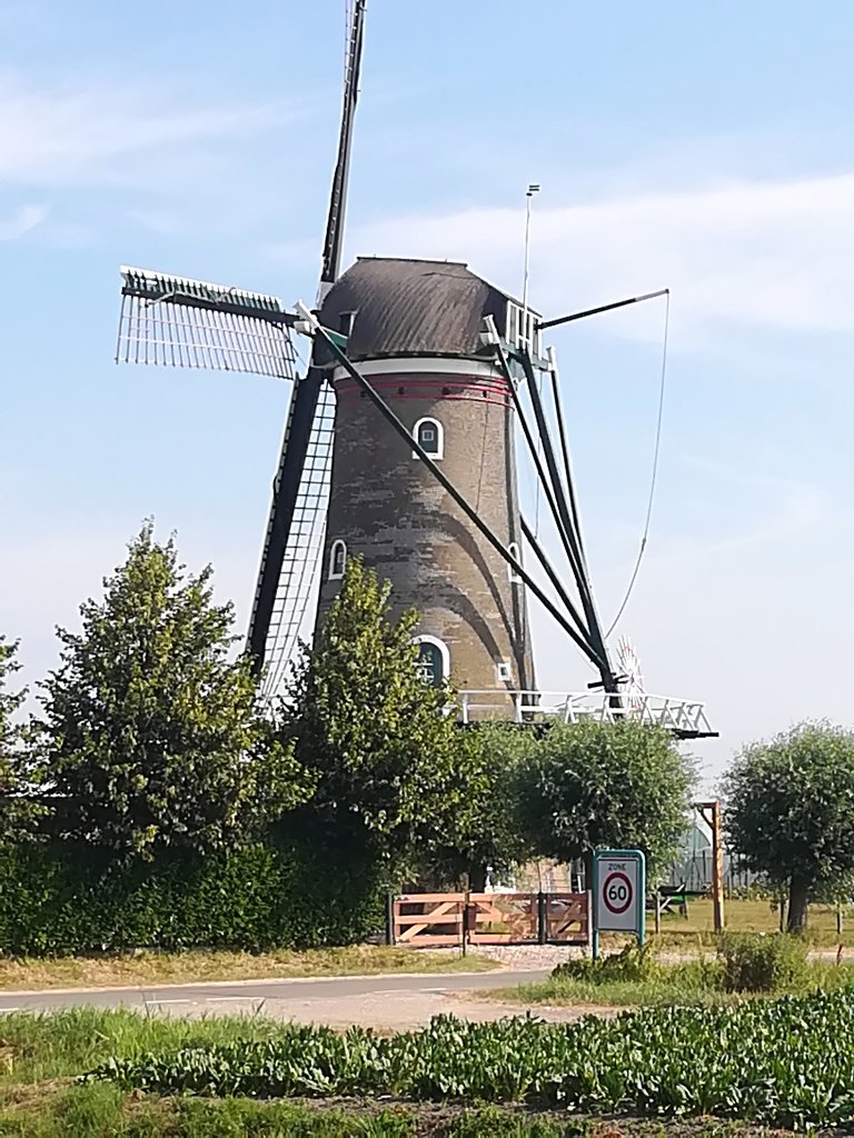 IMG_20180720_101358.jpg